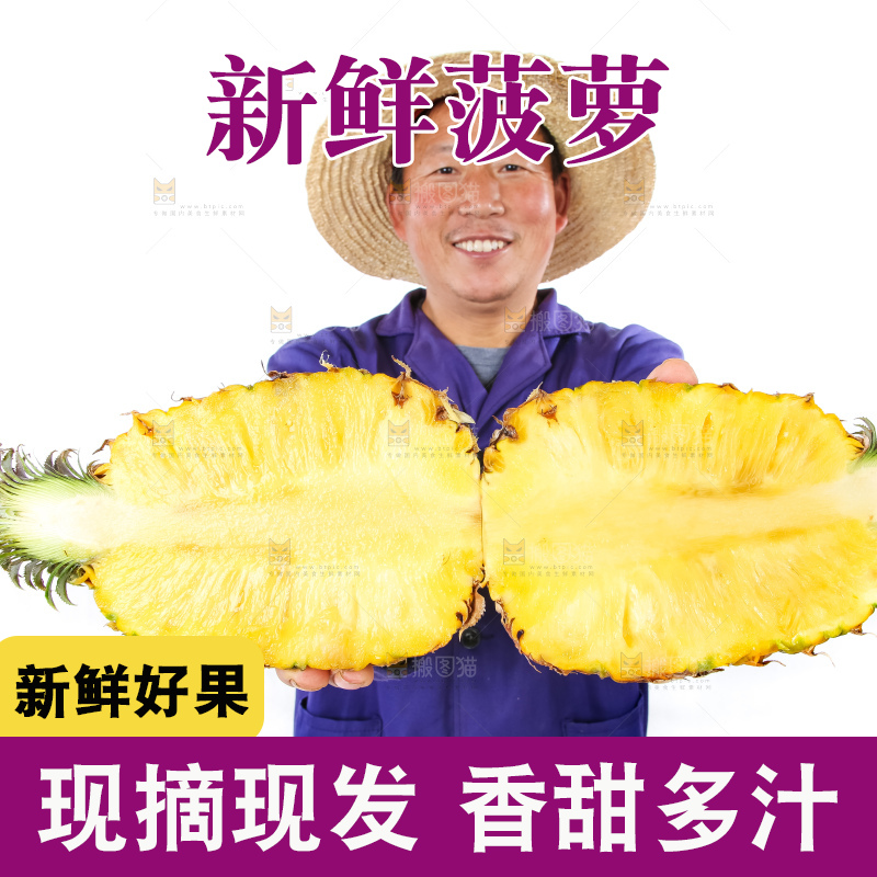 农民手里拿着香水菠萝