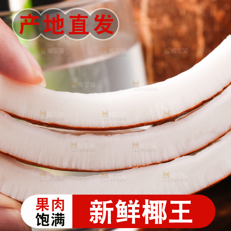 黑底上的椰王