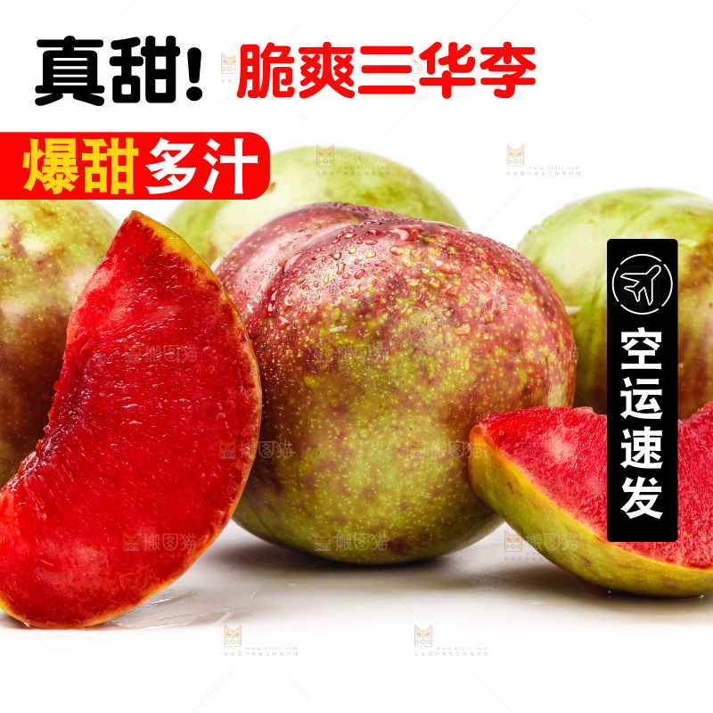 白底上的三华李