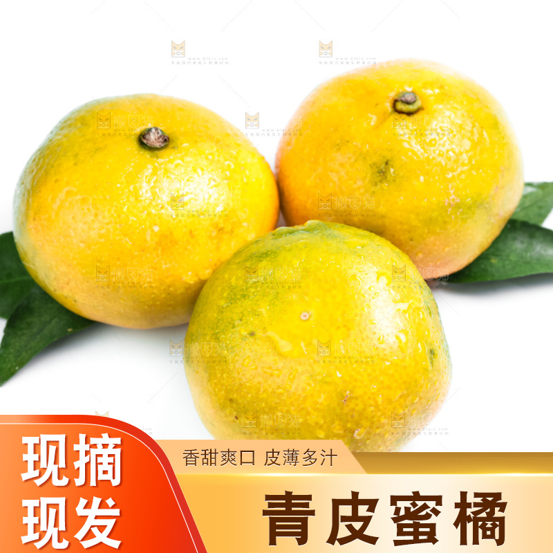 切开的新鲜橘子放在白底上