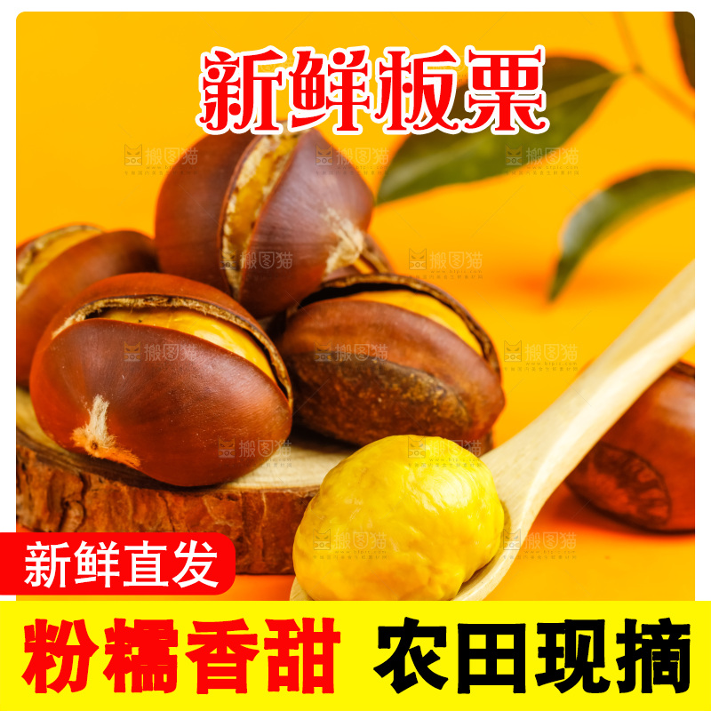 黄底上的迁西板栗