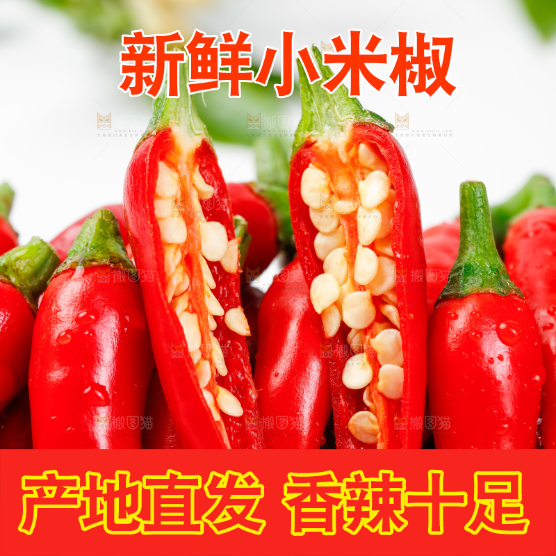 白底上摆放着广西小米椒