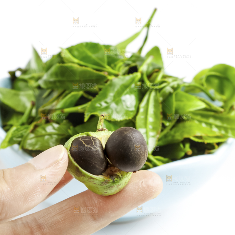 白底上摆放着茶叶子