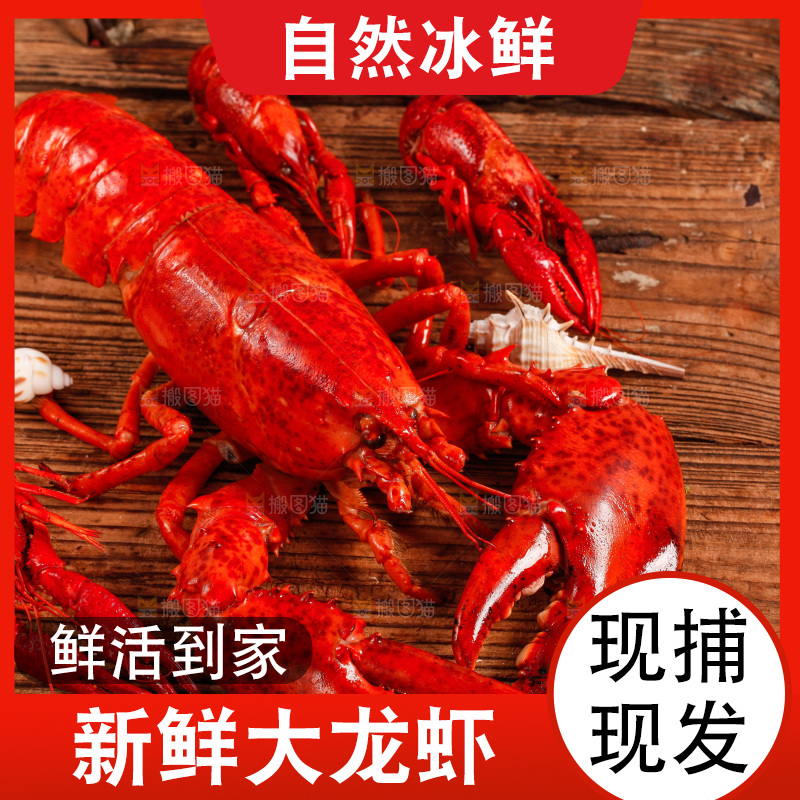 木底上放着大龙虾