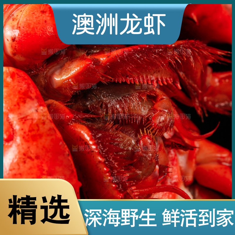 黑底上放着波士顿龙虾