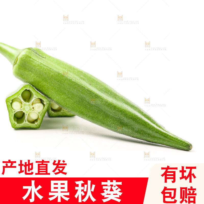 新鲜的羊角豆放在白底上