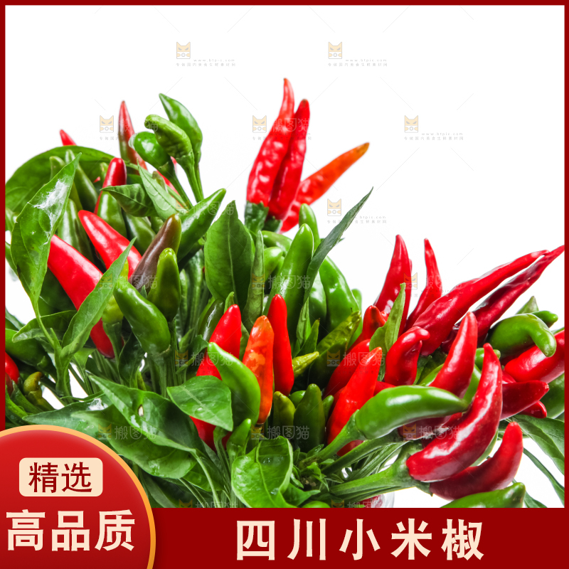 白底上的小米椒