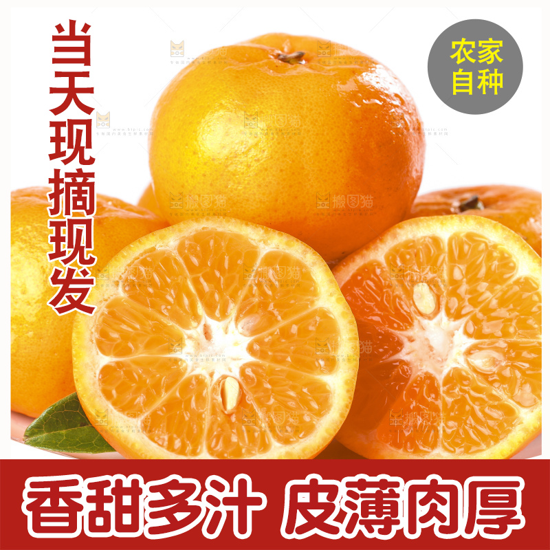 白底上放着椪柑