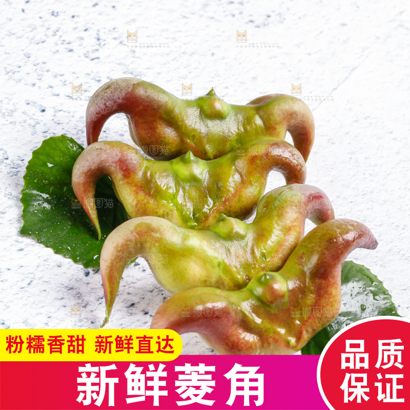 白底上的菱角