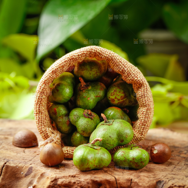 深底上的茶树果