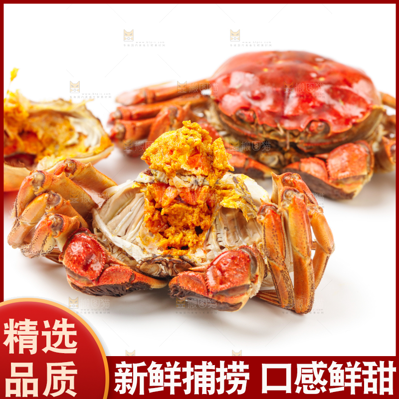 白底上的大闸蟹