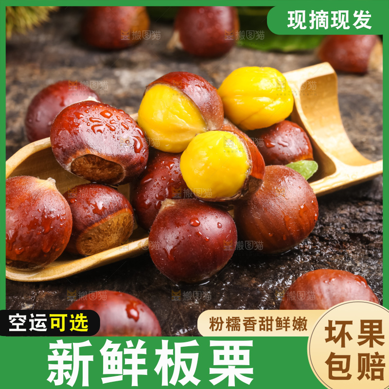 深底上的迁西板栗