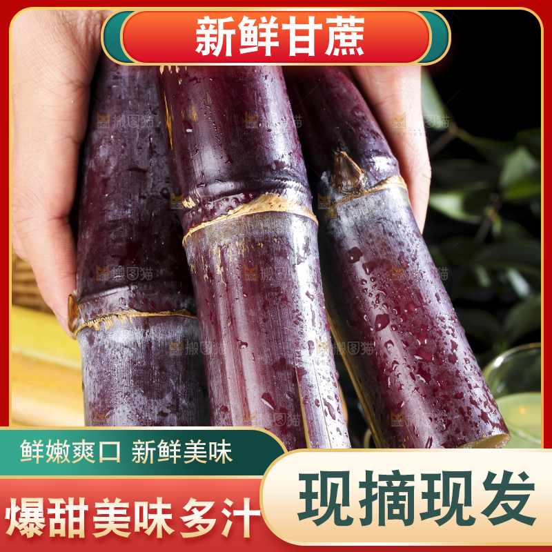 手里拿着广西黑皮甘蔗