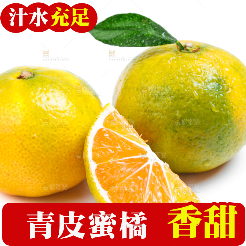 新鲜的青皮蜜橘放在白底上