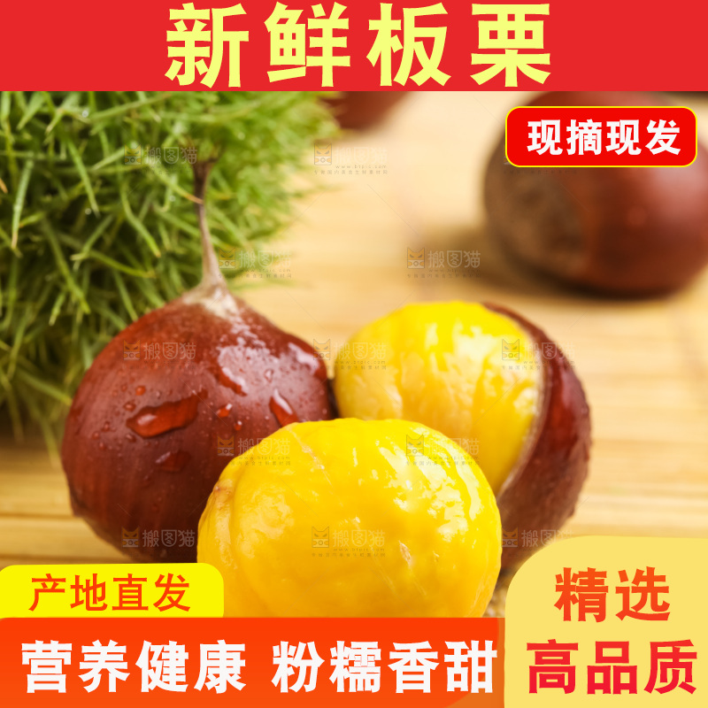 深底上的迁西板栗