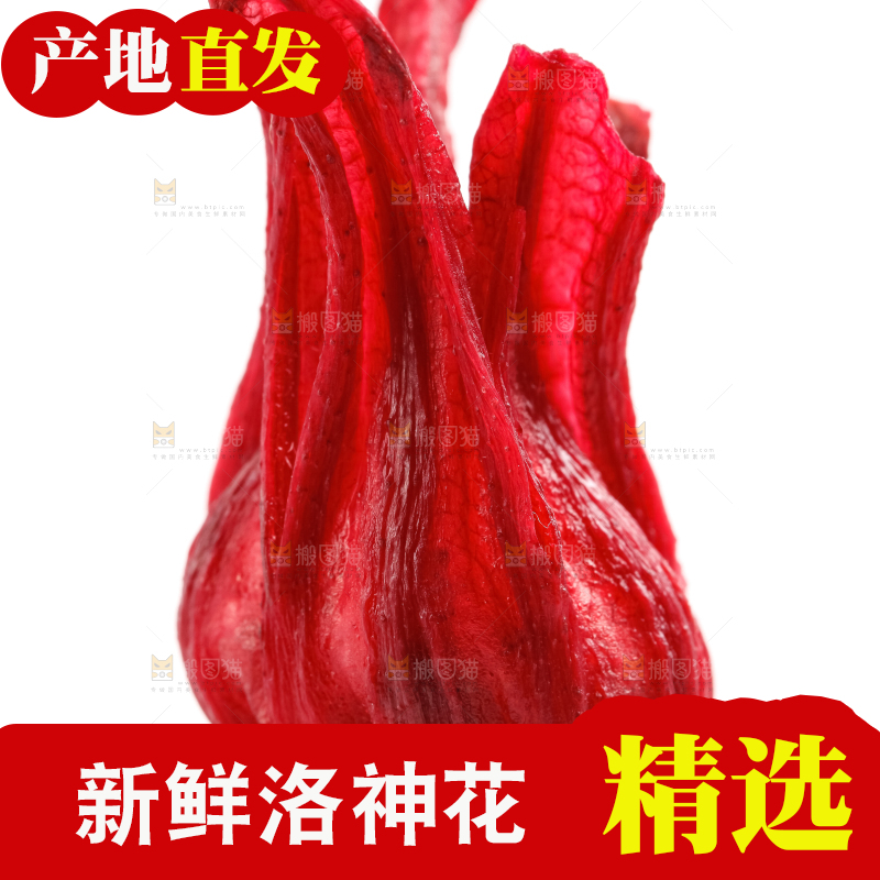 白底上放着玫瑰茄