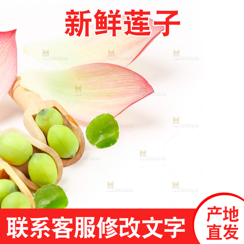 白底上放着嫩莲子