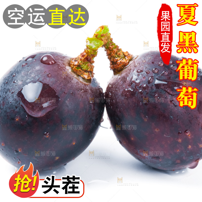 白底上放着云南夏黑葡萄