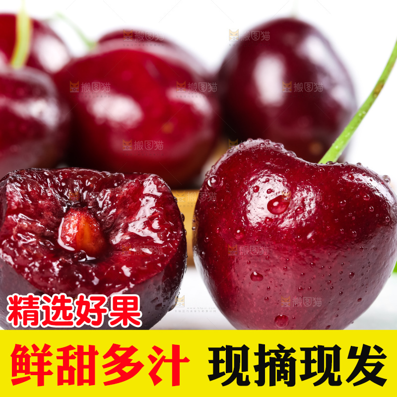 白底上的新鲜车厘子