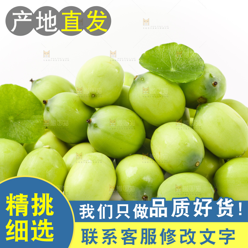 白底上放着湖北新鲜嫩莲子