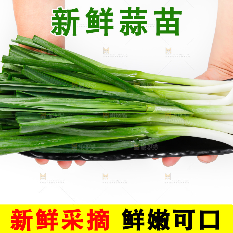 白底上的新鲜蒜苗