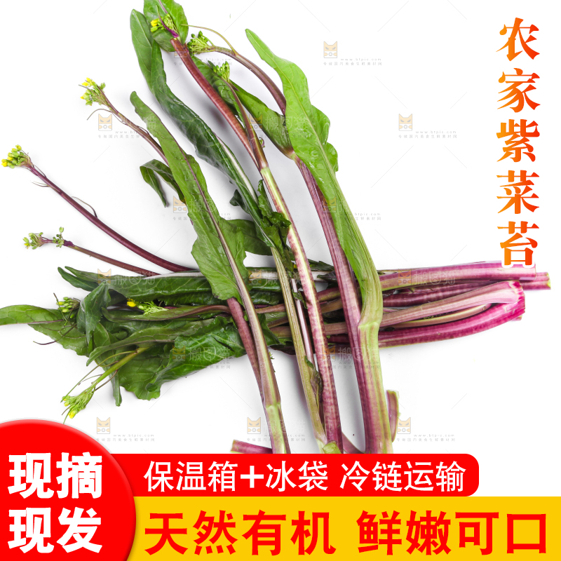 白底上放着紫菜苔