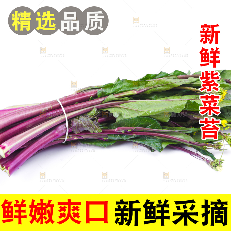 白底上放着紫菜苔