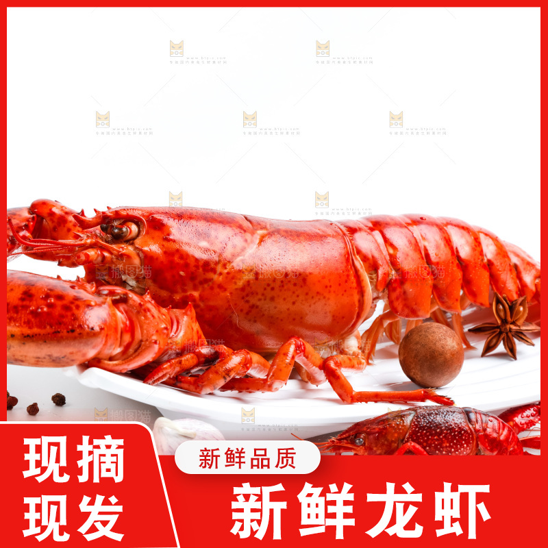 浅底上放着波士顿大龙虾