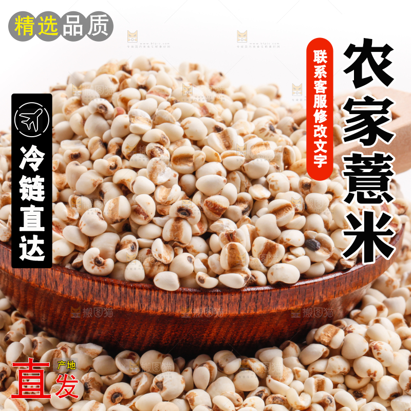 浅底上放着贵州薏米