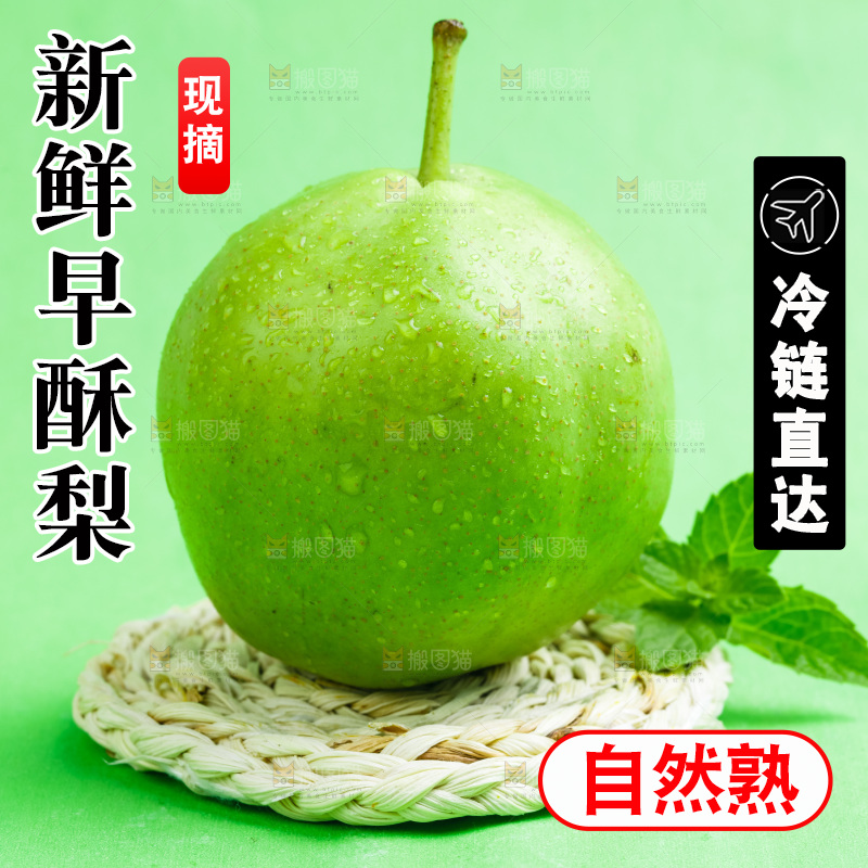 浅底上的早酥梨