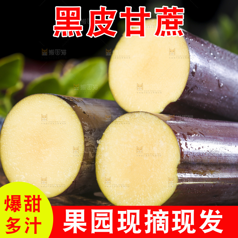深底上的广西黑皮甘蔗
