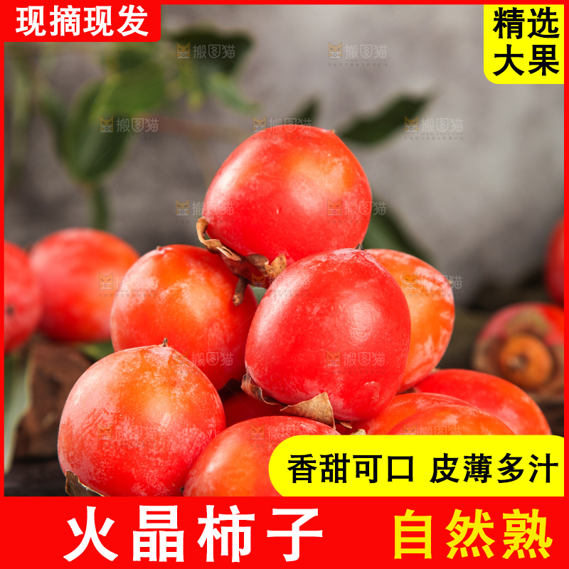深底上的临潼火晶小柿子