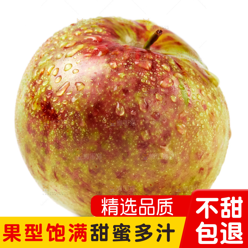 白底上的三华李