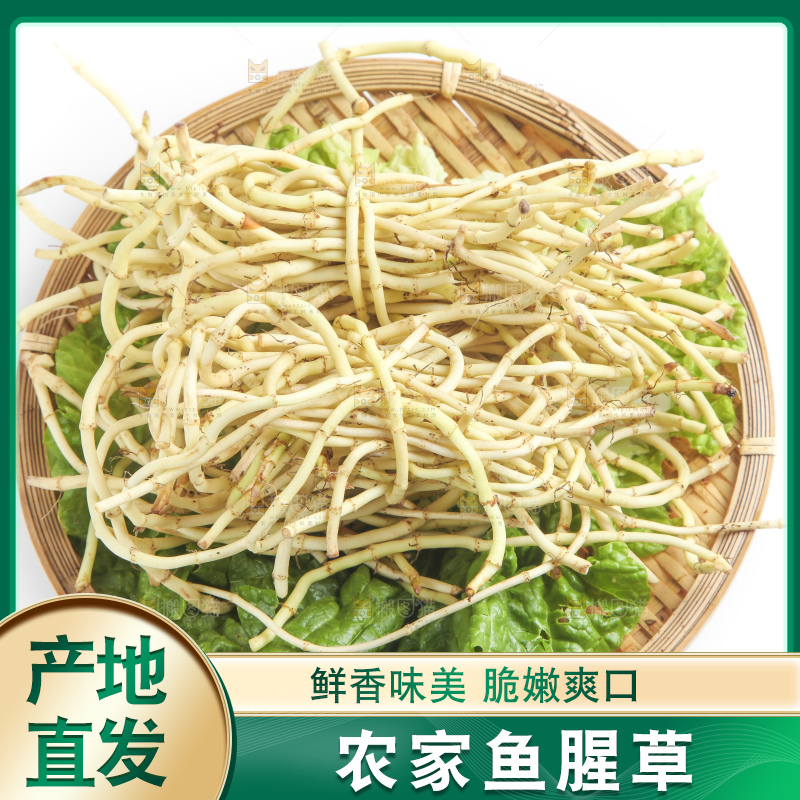 篮子里装着鱼腥草