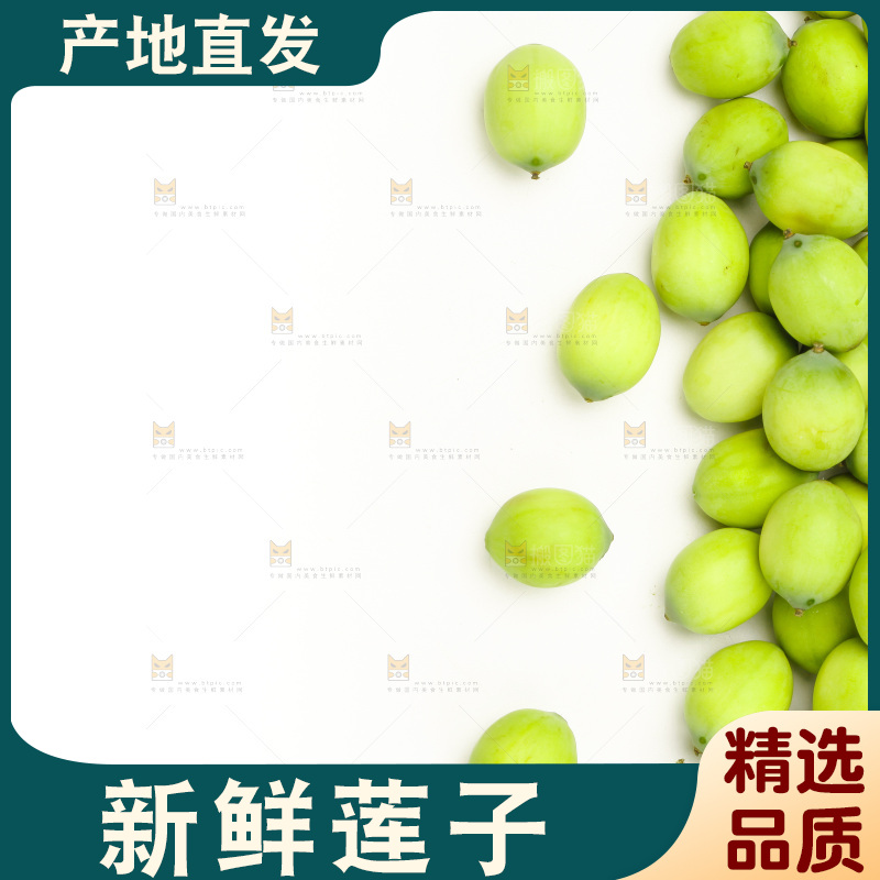 浅底上的新鲜莲子