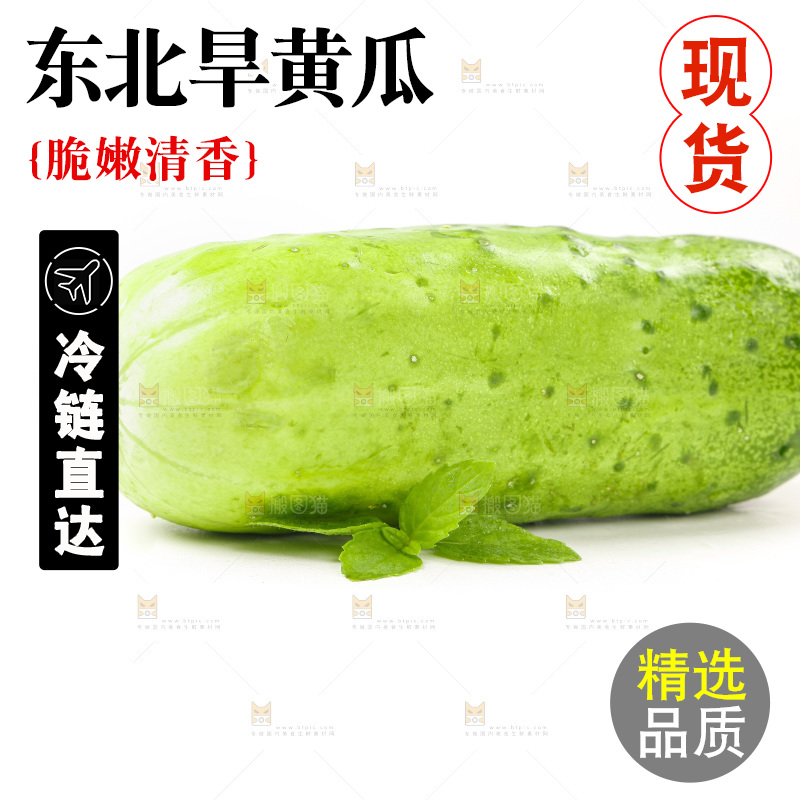 白底上放着新鲜旱黄瓜