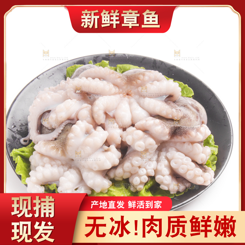 盘子里的大连章鱼