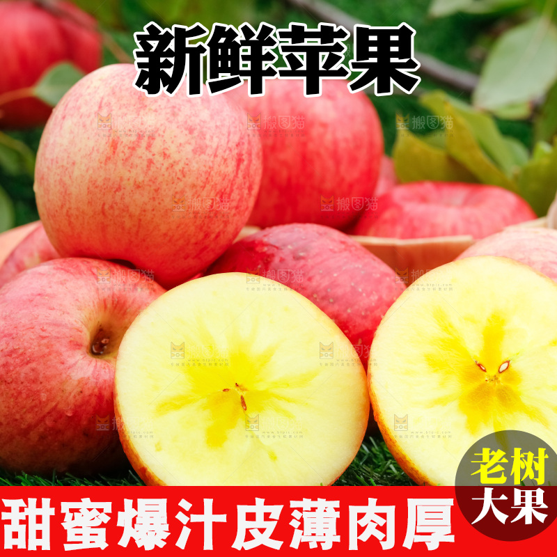 草地上放着冰糖心苹果