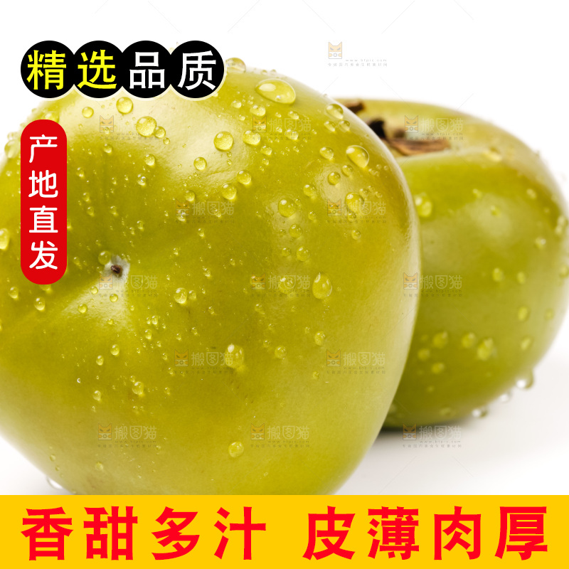 白底上放着青皮柿子