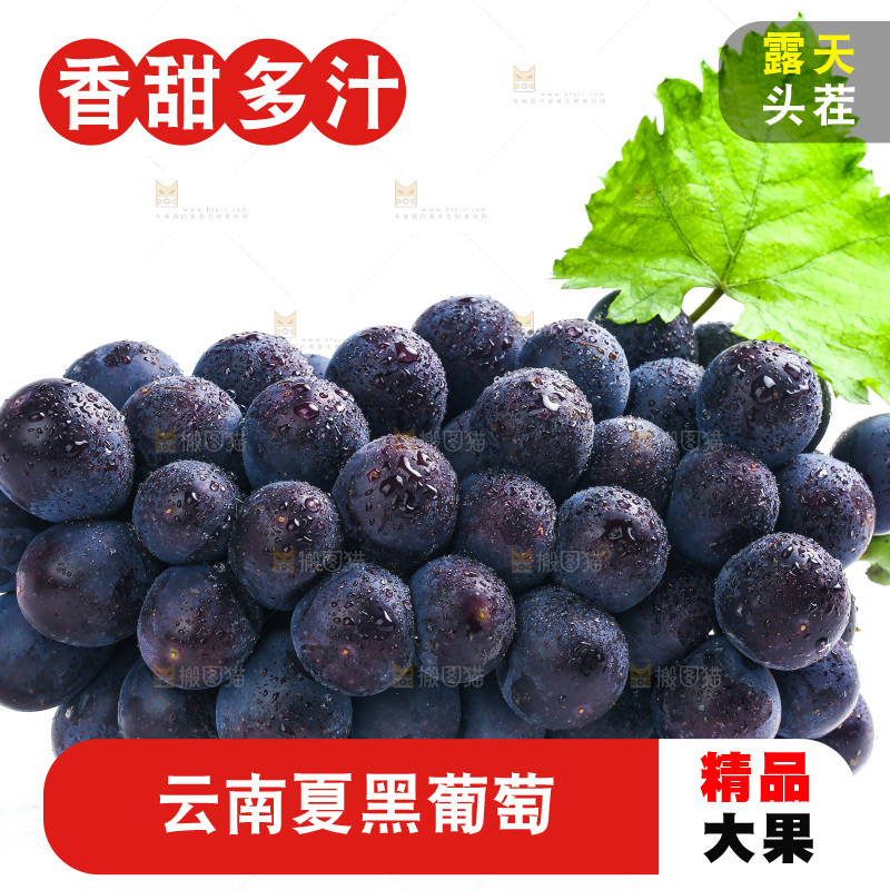 白底上的夏黑葡萄