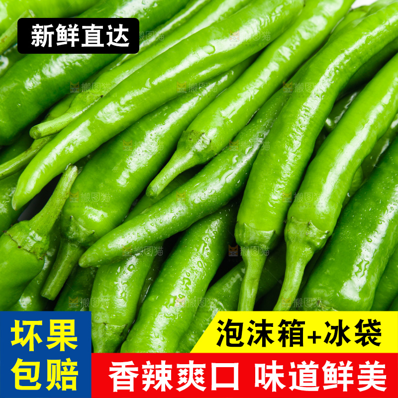 白底上摆放着新鲜杭椒