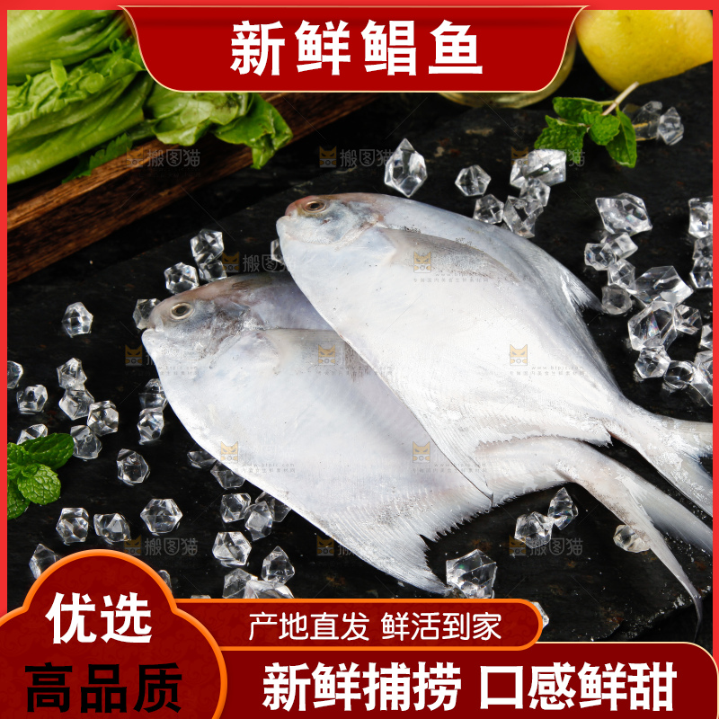 深底上放着银鲳鱼