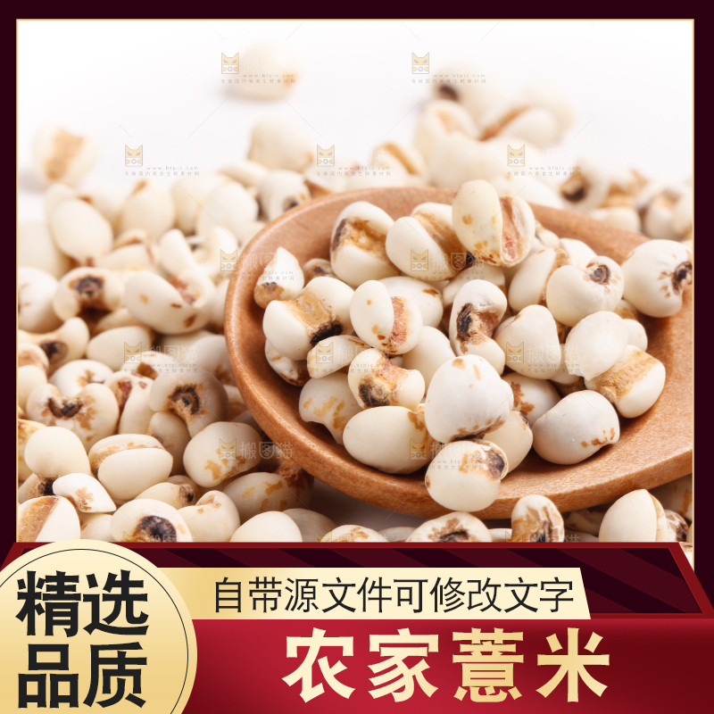 勺子里装着薏米