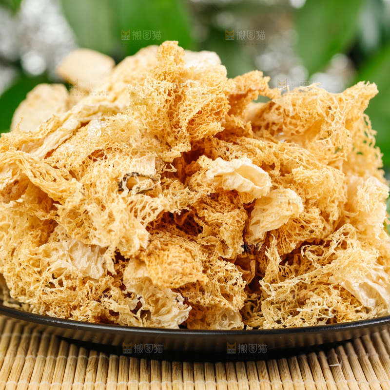 木底上放着古田竹荪