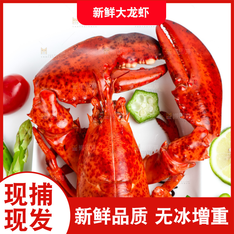 白底上放着一盘大龙虾