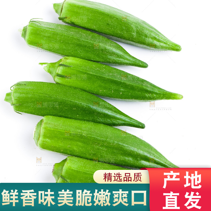 白底上的新鲜秋葵