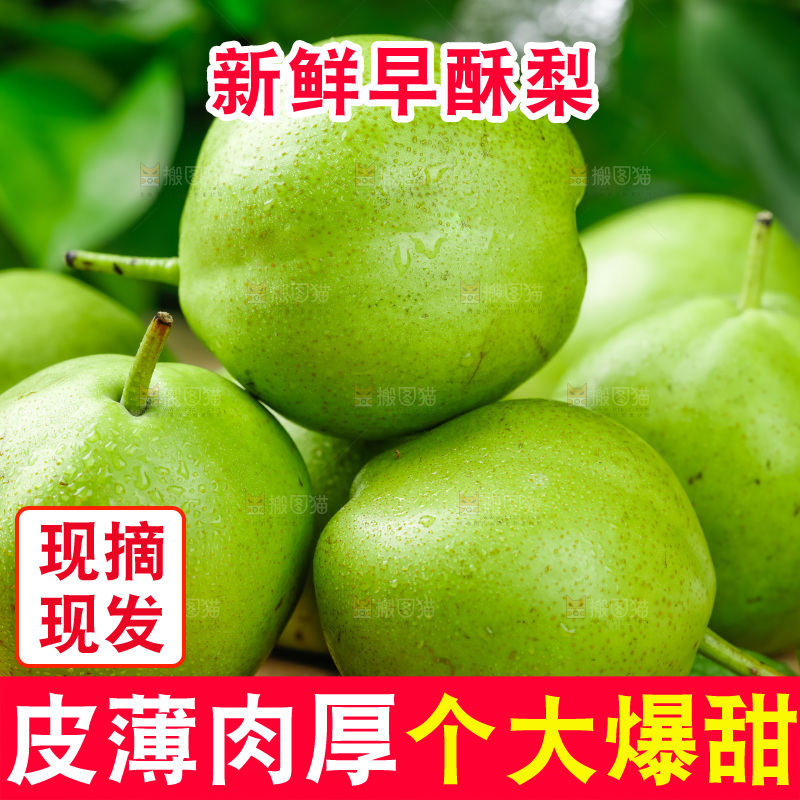 浅底上放着早酥梨