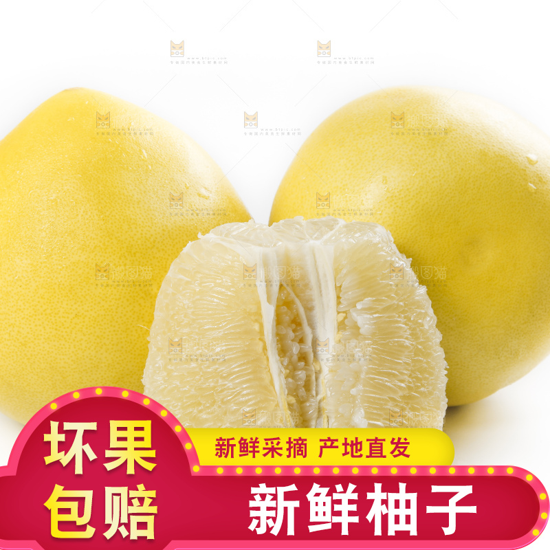 白底上摆放着新鲜柚子