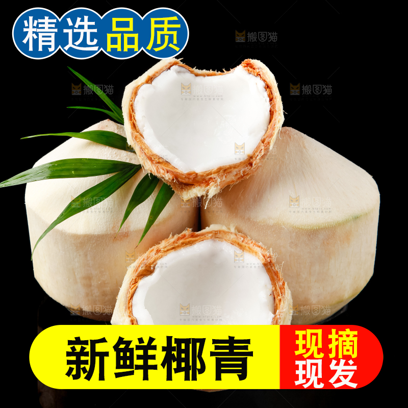 黑底上的青椰子