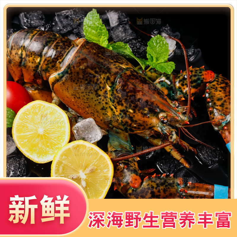 黑底上放着波士顿龙虾
